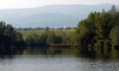 lake near Libkovice, photo: Michal Kindernay